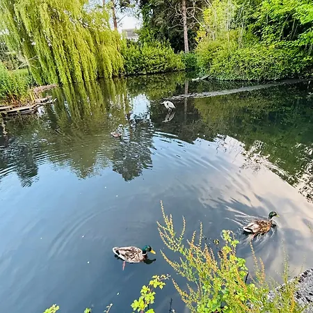 97 Granville Road Pansiyon *