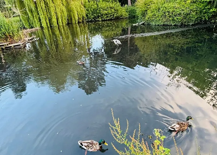 97 Granville Road Rum i privatbostad *